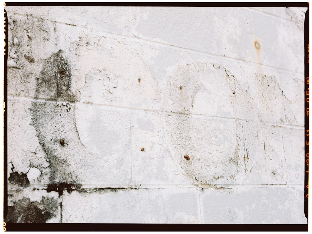 Mold Remediation service in Moore, OK