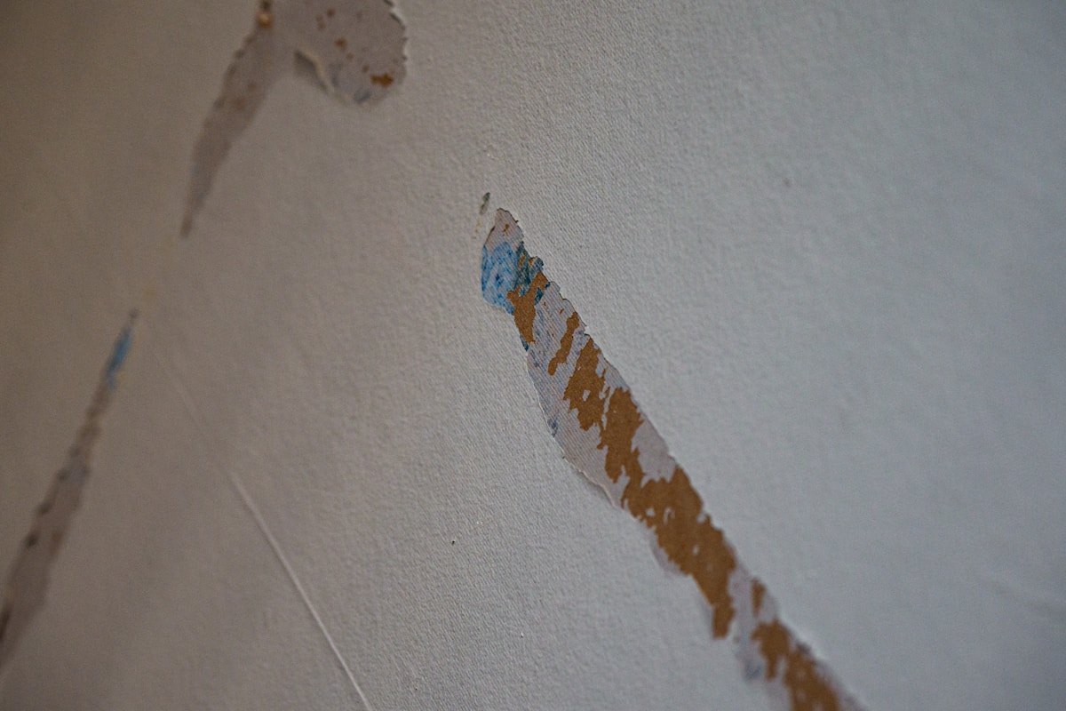 Water Extraction service in Moore, OK